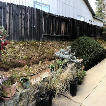 Clay Street Native Garden