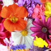 Foto von Victoria Day