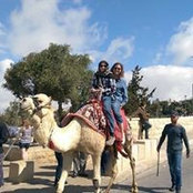 Amy Bachmann's photo