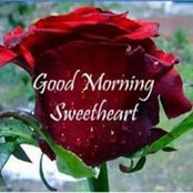Rose Bratcher's photo