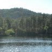 E. P. Graham's photo
