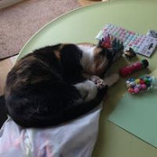 Jacqueline Bray's photo