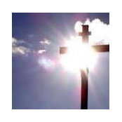 Barb Martin's photo