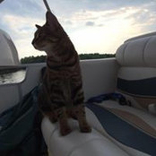 Johnny Hockin's photo