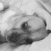 Vicki Allan's photo