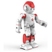 Mr. Roboto 9000's photo