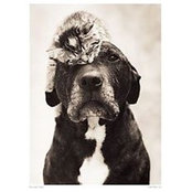 Melanie Stephens's photo