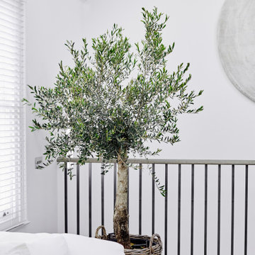 Belgravia Mews House