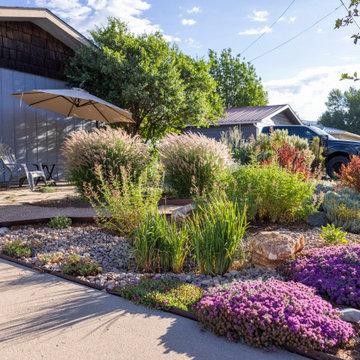 Pollinator Paradise