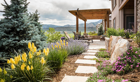 Landscape Design on Houzz: Tips From the Experts