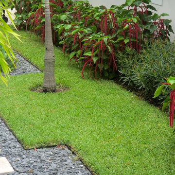 Florida Front yard garden design
