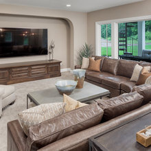 Park Basement Living Room