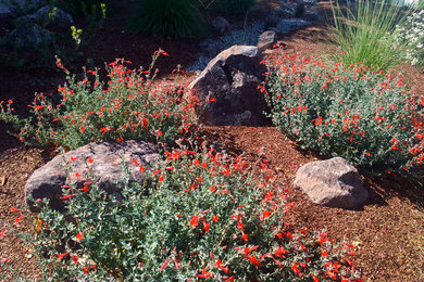 Design ideas for a landscaping in San Francisco.