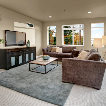 Entertainment Room