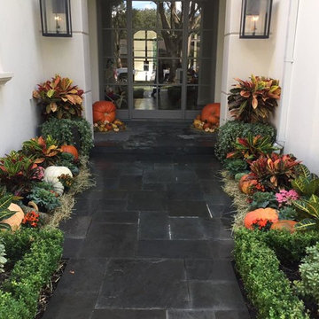 Driveways & Entry Landscape