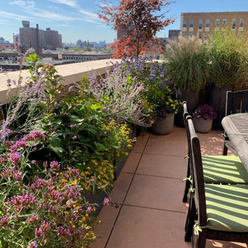 Lush Eclectic Rooftop Garden Harlem