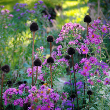 Autumn Garden