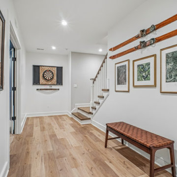 Vienna Lower Level Remodel