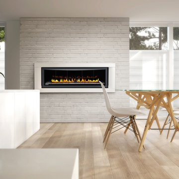 Vector 50 Napoleon's Linear Fireplace LHD50