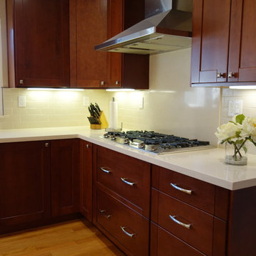 Backsplash Terror