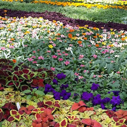 Nursery - Outdoor Products