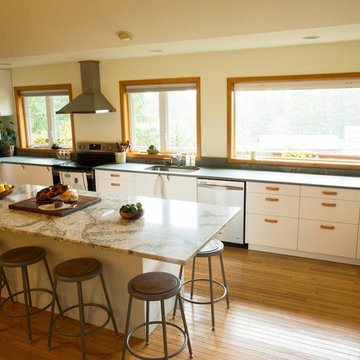 IKEA Kitchen Remodel to Frame Mountain View