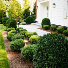 plantings
