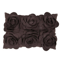 ACcent pillows