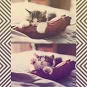 Faida Lagoyo's photo