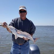 David Harrell's photo