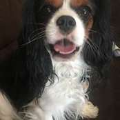Michelynne Stevens's photo