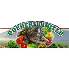Gophers Limited
