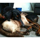 Louise Rainger's photo