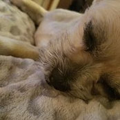 Emily Clavel's photo