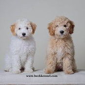 Sandra Beck's photo