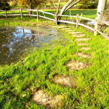 Ponds, Pergola's and Pom Pom's
