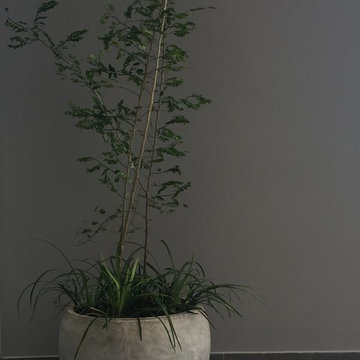 Solo Decorando Apartamentos