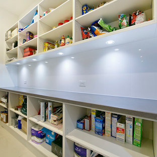 Mid-sized modern kitchen pantry designs - Kitchen pantry - mid-sized modern galley kitchen pantry idea in Adelaide