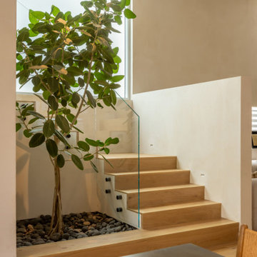 Entry Staircase with Indoor Tree and Natural Light