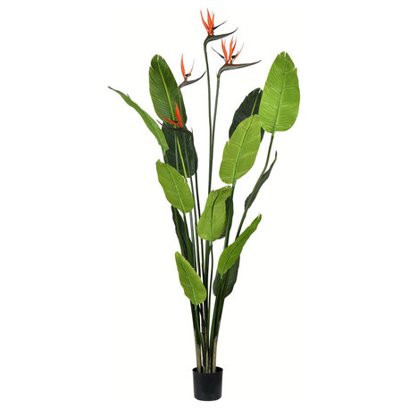 Vickerman Potted Bird of Paradise Palm, Unlit, 5'
