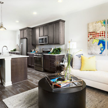 Onyx model home in Colorado