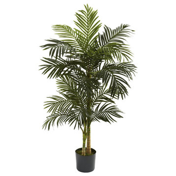 5' Golden Cane Palm Tree