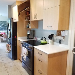 Kitchen remodel - Products