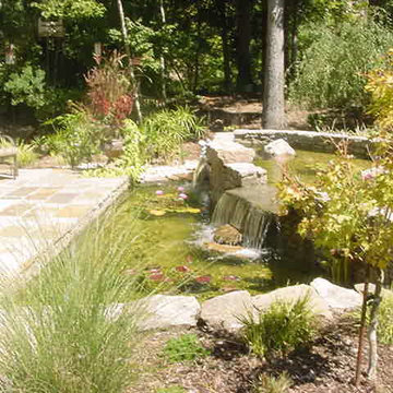 Water Festures