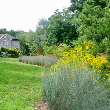 Native Meadow