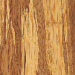 Teragren - Teragren Portfolio Naturals, Strand Woven Bamboo, Brindle - Bamboo Flooring