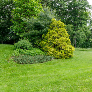 Mature Garden