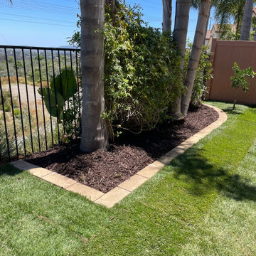 Carlsbad - Landscape