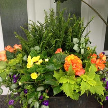 Landscape Ideas