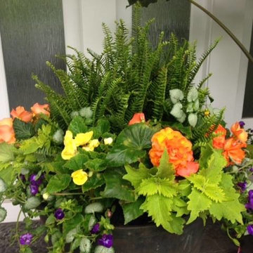 Container Gardens